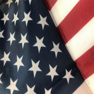 Ruiyuan 68d/100 d 100% poliéster <span class=keywords><strong>Irlanda</strong></span> bandera 3*5 pies impreso personalizado bandera puede ser utilizado en el mundo banderas - Product Image 5
