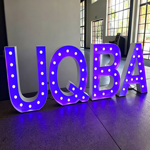 Customized <b>LED</b> Marquee Letter <b>Lights</b> Purple Indoor Decorative Lighting AC Power Acrylic Material 6000K Daylight Alert - Product Image 1