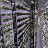 Système de culture hydroponique automatisé Seedafarm pour fourrage en conteneur, avec contrôle environnemental intelligent, modèle de production annuelle en usine de plantes