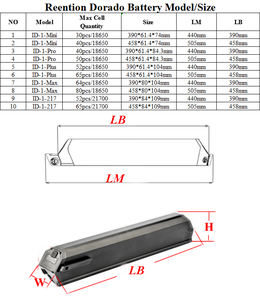 36V 13AH 21AH 48V 14AH 17,5 Ah литий-ионный аккумулятор для электровелосипеда Reention Dorado Plus Интегрированный аккумулятор для электровелосипеда - Product Image 5