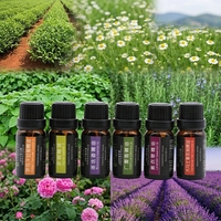 Huile Essentielle Pure de Citron, Lavande, Rose, Arbre à Thé et Orange 10ml – Approvisionnement OEM en Grande Quantité – Écologique, Aromathérapie, Relaxation, Régulation