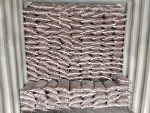 <span class=keywords><strong>Pierre</strong></span> <span class=keywords><strong>volcanique</strong></span> <span class=keywords><strong>pour</strong></span> filtre <span class=keywords><strong>Aquarium</strong></span> <span class=keywords><strong>pierre</strong></span> de lave - Product Image 6