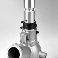 Pistolet de sablage en alliage d'aluminium Born Machinery, diamètre extérieur 35 mm, longueur totale 340 mm, avec protection de brosse pour l'élimination de la rouille de surface