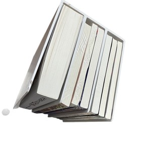 Plastic Bookends LKL 126 Large 3 Tier Stackable Office Storage Rack White Black Green Yellow Pink Red Blue <b>File</b> <b>Organizer</b> - Product Image 5