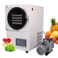 Nieuwe commerciële voedsel-, groente- en fruit-vriesdroogmachine met vacuümlyofilisatie Kolice FKD-06 110V/220V Kleuren LCD