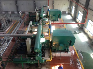 Compresor de gas de motor de aire/nitrógeno de alta eficiencia sin aceite alternativo para hidrotratamiento petroquímico hidrocraqueo CTM CTO - Product Image 2