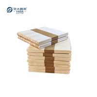 Bâtons de crème glacée en bois écologiques biodégradables YADA 100% | 114*10*2MM jetables pour sucettes glacées et crème glacée