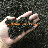 Extrait de poivre noir de qualité alimentaire Healthife en poudre 95% 98% de piperine, complément alimentaire à base de plantes