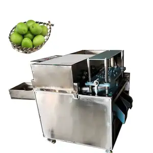 Melhor Removedor De Semente De Cereja Máquina Data Hawthorn Fruit Pitting Máquina de Oliva