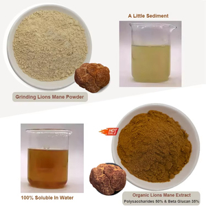 Органический экстракт мицелия - Product Image 3