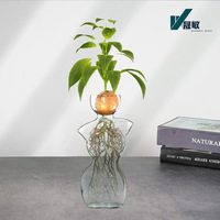 Vase en verre hydroponique pour avocat, pot de culture dédié pour la plantation de graines, ornement de jardinage d'intérieur pour bureau