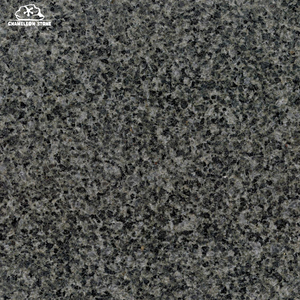 Carrelage moderne d'extérieur en granit <span class=keywords><strong>bleu</strong></span> <span class=keywords><strong>Dalle</strong></span> en <span class=keywords><strong>pierre</strong></span> naturelle avec surface polie pour pavés - Product Image 2