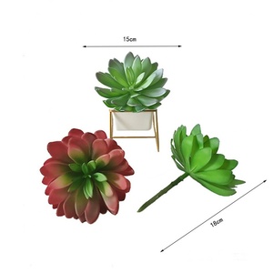 ต้นกระบองเพชรกระถางบอนไซจำลองขนาดใหญ่ปลูกพืชอวบน้ำ - Product Image 2