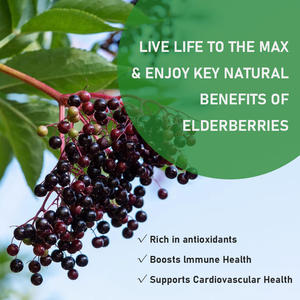 Gotas Líquidas de Saúco OEM para Adultos, Suplemento Herbal para el Sistema Inmunológico, Gotas Líquidas de Saúco Orgánico, Tintura de Saúco Negro - Product Image 3