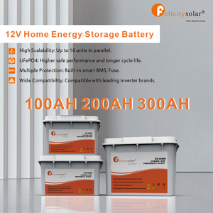 Batterie LiFePO4 Felicitysolar 12,8 V 1,28 kWh Série FLA12100 - Plus de 6000 cycles 95 % DOD avec BMS intelligent pour onduleurs solaires - Product Image 2