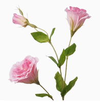 Fleurs artificielles en latex Lisianthus à toucher réaliste hautement simulées, fleurs artificielles de qualité supérieure à toucher réaliste pour mariage et décoration intérieure