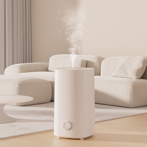 Nouveau design 4L capacité réservoir <span class=keywords><strong>d</strong></span>'eau blanche brumisateur manuel <span class=keywords><strong>humidificateur</strong></span> <span class=keywords><strong>d</strong></span>'<span class=keywords><strong>air</strong></span> à brume fraîche pour <span class=keywords><strong>chambre</strong></span> à coucher - Product Image 1