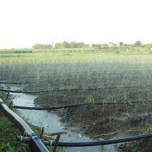 <span class=keywords><strong>สาย</strong></span>ฉีดน้ำฝน<span class=keywords><strong>สาย</strong></span>ฉีดน้ำขนาดเล็กระบบท่อชลประทานสายฉีดน้ำขนาดเล็กของฟาร์มและการเกษตร - Product Image 2