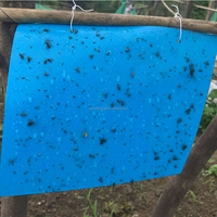 Supersterke gele gellijm-platen voor vliegen, muggen, muggenachtigen & ongedierte - Groothandel bulk voor thuis & tuin gebruik