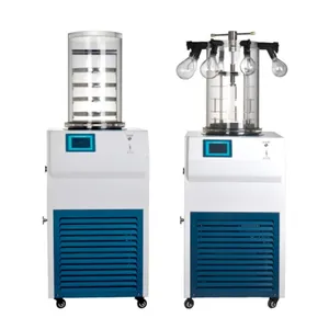 Cheapest Home Use Lyophilizer Experimental Vacuum Freeze Dryer Drying Machine For Food Liquid Powder Herbs