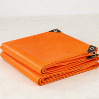 Bâche en nylon enduit de PE avec œillets, laminée et imperméable, pour la protection des marchandises en extérieur – Vente en gros usine, Nouveauté