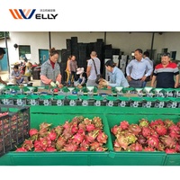 Kiwi fruit sorteren machine/mango sorteermachine/sorteren machine voor fruit en groente