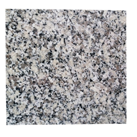 Pierre naturelle gris grand panneau granit poli comptoir G602 plaque de granit pour le marché du mexique