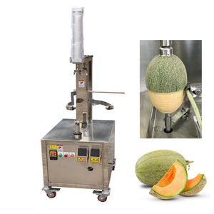 Machine à éplucher les fruits et légumes à double tête en acier inoxydable 304, facile à utiliser, 380V 0.75KW, pour citrouille, ananas, papaye - Product Image 1