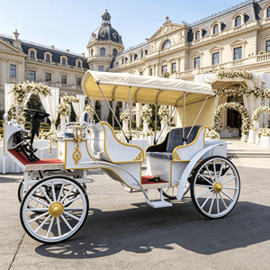 Carruaje Real de Lujo para Bodas, Carruaje Blanco Eléctrico Moderno Estilo Victoria, Carruaje de Caballos en Venta - Product Image 4