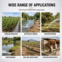 Pompe submersible solaire agricole à moteur CC sans balais, haute pression pour puits profonds et irrigation agricole