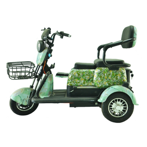 Triciclo Eléctrico <span class=keywords><strong>con</strong></span> Pantalla Digital, 500W, Neumático Antipinchazos 300-8, Freno de Tambor Delantero y Trasero, Controlador 12T, <span class=keywords><strong>Silla</strong></span> para Bebé - Product Image 1