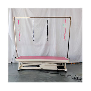 <span class=keywords><strong>Table</strong></span> de toilettage pour animaux de compagnie robuste avec système de levage électrique, bras de <span class=keywords><strong>table</strong></span> sécurisés et tapis imperméable pour services de toilettage canin - Product Image 2