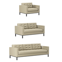 Ensemble de canapés en cuir minimalistes modernes avec pieds en métal, mobilier commercial contemporain pour bureau, hall d'accueil, hôpital, école