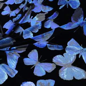 Tissu de velours extensible élégant 3d <span class=keywords><strong>papillon</strong></span> dentelle tissu broderie <span class=keywords><strong>papillon</strong></span> impression tissu velours tissu pour robe et décoration - Product Image 3