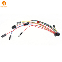 Arnés de Cableado Divisor Personalizado de PVC RoHS para Cable de Puente Multivía, Varios Conectores de Terminal, Automatización Industrial