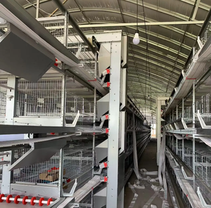 Cage automatique pour poulets <span class=keywords><strong>de</strong></span> 1 à 100 000 unités, cage automatique pour poulets <span class=keywords><strong>de</strong></span> chair, équipement avicole, cage automatique pour poulets pondeuses - Product Image 1