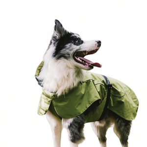Veste imperméable pour chien, gilet de sport vert taille XL, cordon de serrage réglable, vêtements pour animaux de compagnie, toutes saisons, utilisation en extérieur - Product Image 1