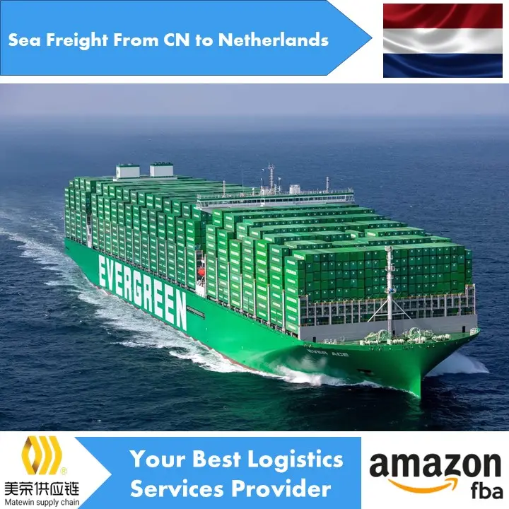 free delivery to holland logistics services jobs to do at home shipping cargo ships fast shipping DDP customs clearance service