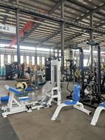 Máquina de fuerza profesional ajustable con sistema de pin para ejercicios combinados de dorsales y remo, ideal para un entrenamiento completo de espalda.