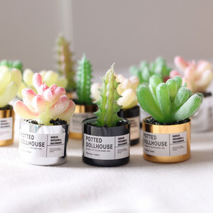 Modèle miniature <span class=keywords><strong>de</strong></span> plante succulente <span class=keywords><strong>en</strong></span> métal pour <span class=keywords><strong>maison</strong></span> <span class=keywords><strong>de</strong></span> poupée, matériau artisanal Ob11 GSC - Product Image 1
