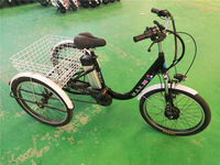 Tricycle cargo électrique adulte à 3 roues, 48V 350W, moteur sans balais, frein à disque, cadre en acier, 24 pouces, vente en gros