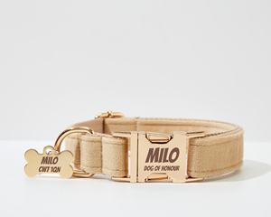 สายรัด Veet สีเบจฮาร์ดแวร์ทองส่วนบุคคลสำหรับลูกสุนัขสาวชุดสายรัดและสายจูงปลอกคอสุนัขจัดส่งฟรี - Product Image 6