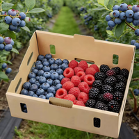 Boîte à fruits en carton ondulé pour supermarché, recyclable, compostable, ventilée, pour le stockage de fruits frais