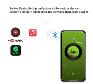 Cung Cấp Đặc Biệt Có Thể Sạc Lại 3.7V Lithium Pin Nhà Khuếch Đại Âm Thanh Xe Hơi Ban <span class=keywords><strong>Receiver</strong></span> Cho <span class=keywords><strong>Bluetooth</strong></span> Cho Âm Thanh Loa - Product Image 3