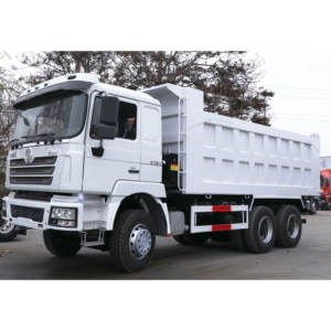 Shacman Delong F3000 6X4油圧クイックリフティングシステムダンプトラック工場直販 - Product Image 1