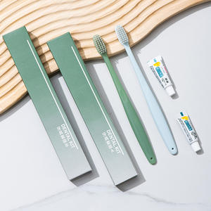 Kit de salle de bain jetable haut de gamme pour hôtel et maison d'hôtes, avec brosse à dents et dentifrice, design Montagnes Vertes pour l'eau, pour usage hôtelier - Product Image 2