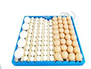 Bandeja de Huevos Automática de Plástico de Alta Calidad, 70 Piezas, Motor Rodante para Incubación de Pollos, Reptiles y Pavos, Nueva Condición, Material PC - Product Image 3