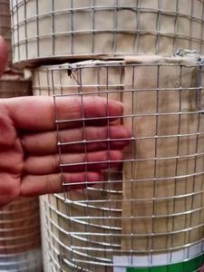 Galvanized Welded Iron Wire <b>Mesh</b> Square Hole <b>Netting</b> Fence Panels 0.6 mm to 2 mm for Farm Enclosure - Product Image 2