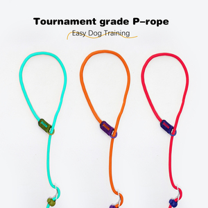OEM tali kekang latihan anjing besar Medium kustom tali leher anjing antilicin tali pengikat nilon empuk mewah tali timbal selip fungsional - Product Image 2