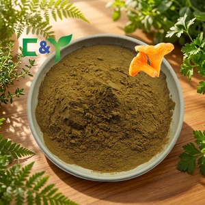 Extrait de <span class=keywords><strong>champignon</strong></span> <span class=keywords><strong>Chanterelle</strong></span>, mycélium, polysaccharide de <span class=keywords><strong>Chanterelle</strong></span> 30%, poudre de champignons Chanterelles - Product Image 1